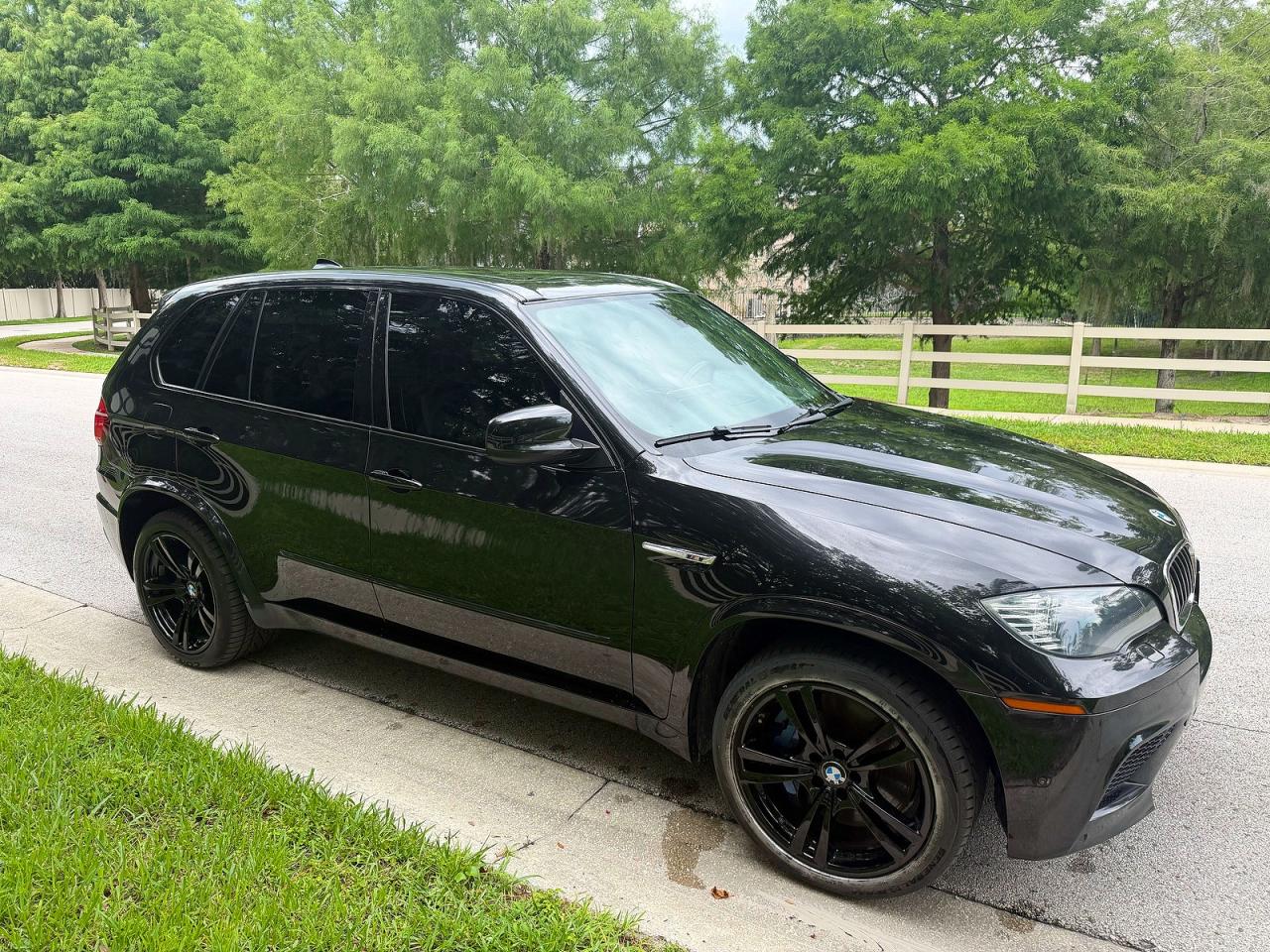 2013 BMW X5 X5 M