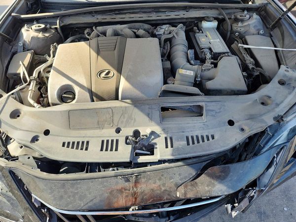2019 LEXUS ES 350