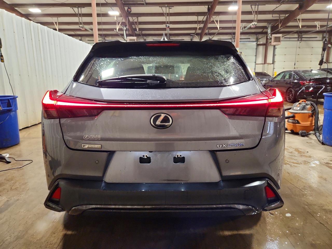 2019 LEXUS UX