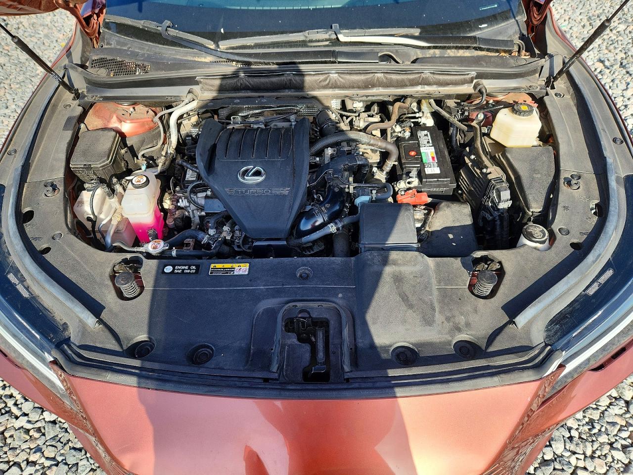 2023 LEXUS RX 350