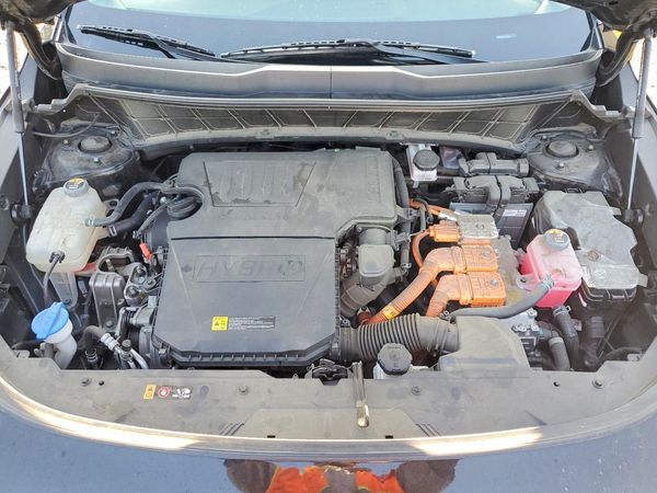 2025 KIA NIRO