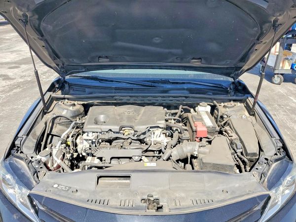 2019 TOYOTA CAMRY L/LE/SE/XLE — Engine bay
