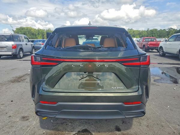 2025 LEXUS NX 350 Premium