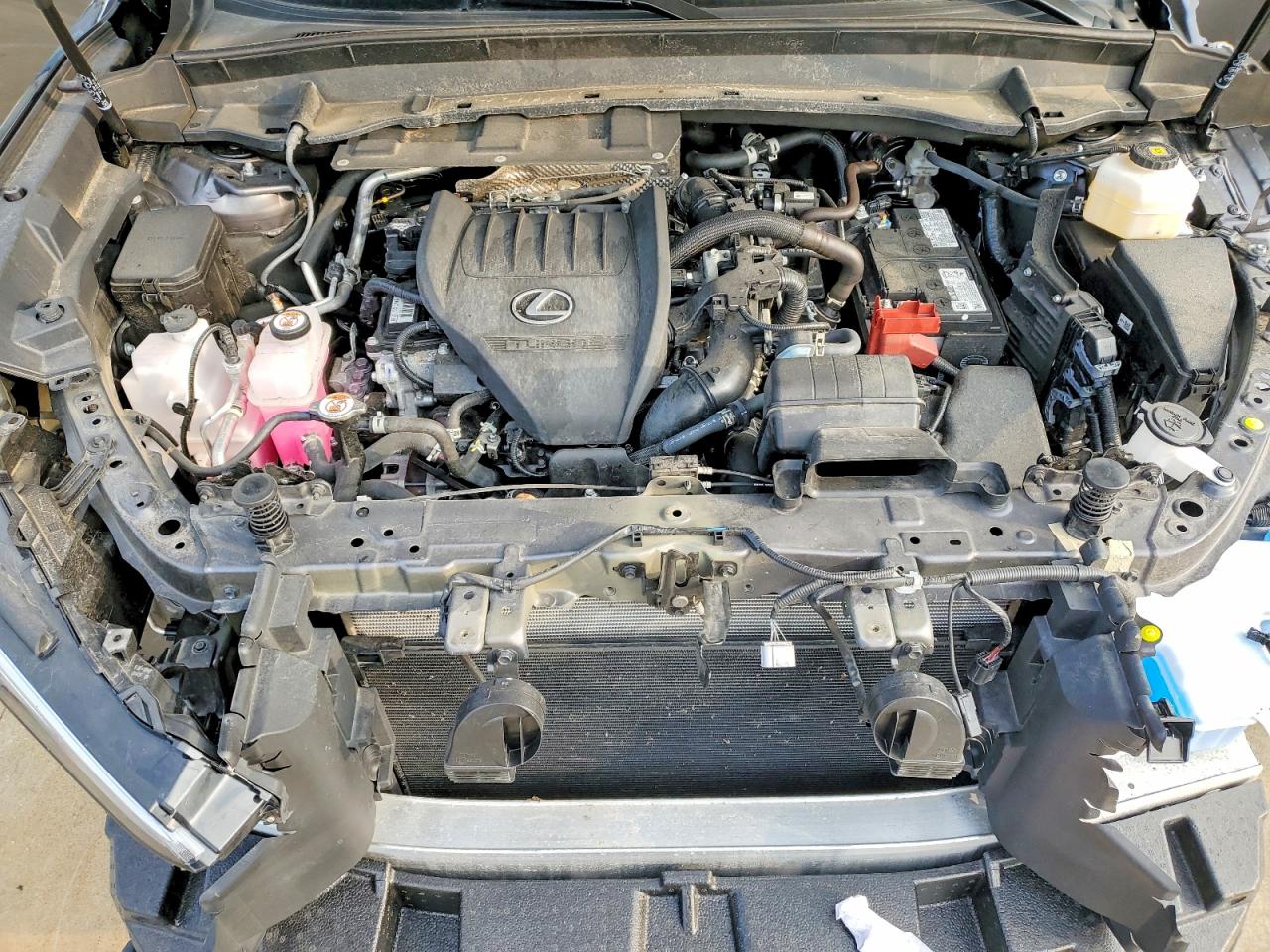 2025 LEXUS TX 350