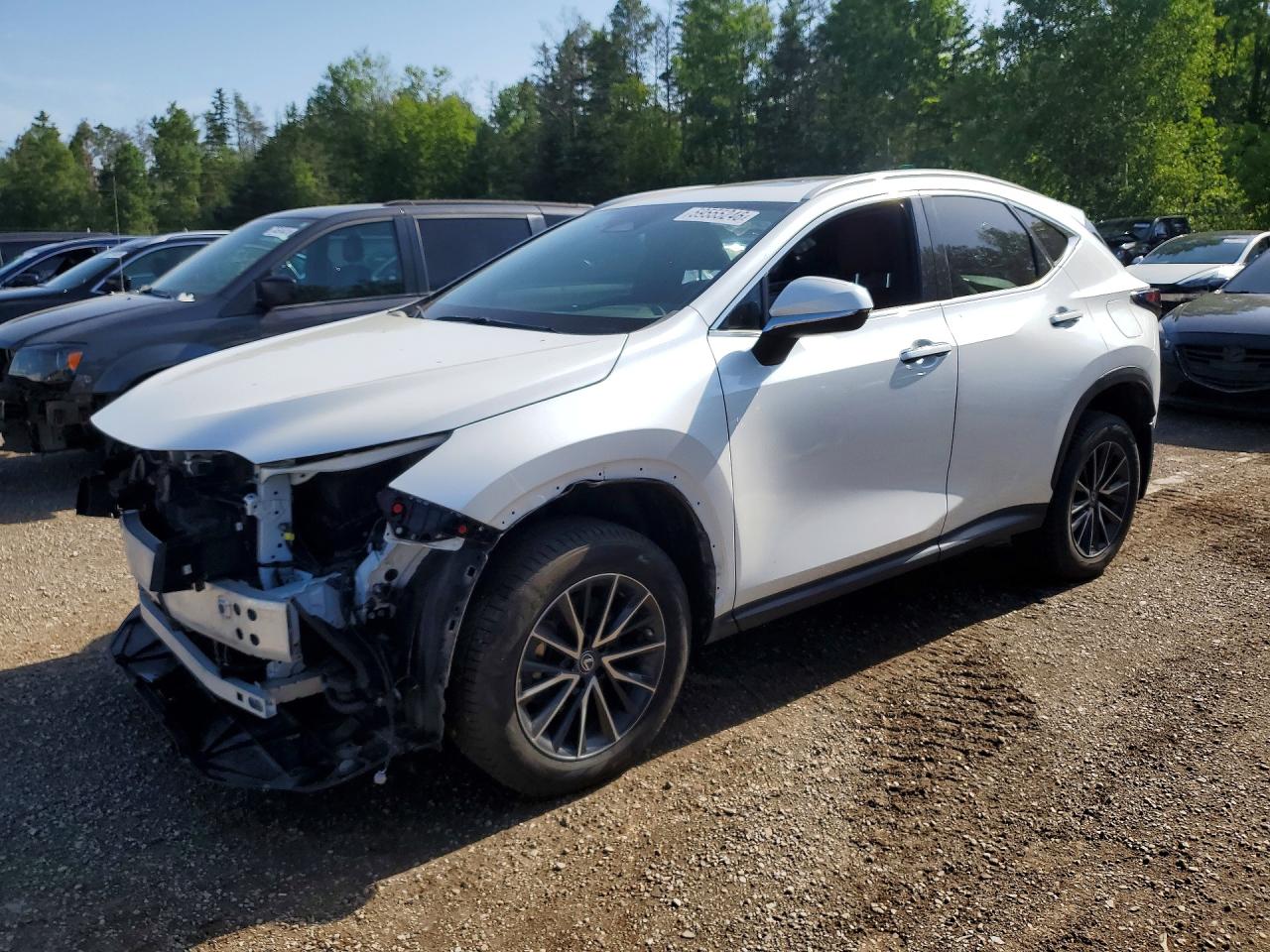 2023 LEXUS NX