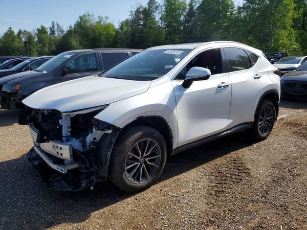 2023 LEXUS NX