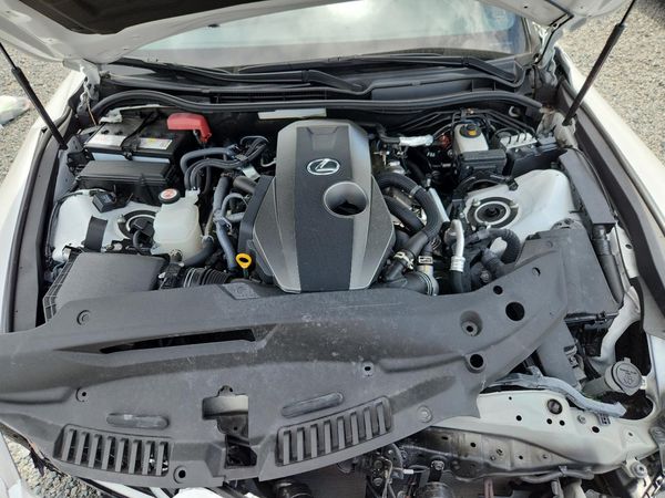 2024 LEXUS IS 300 300 Premium