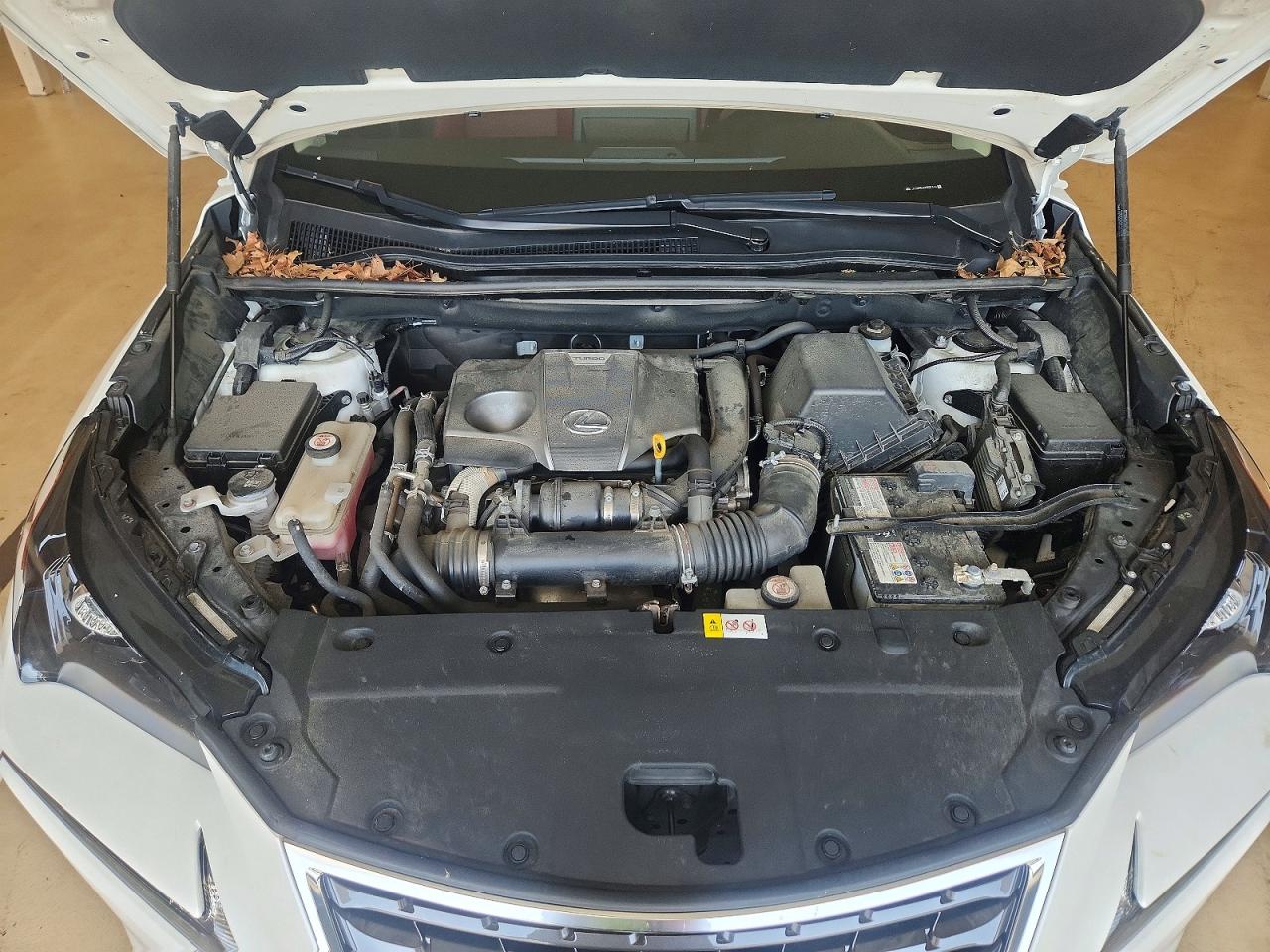 2021 LEXUS NX 300 300 Comfort