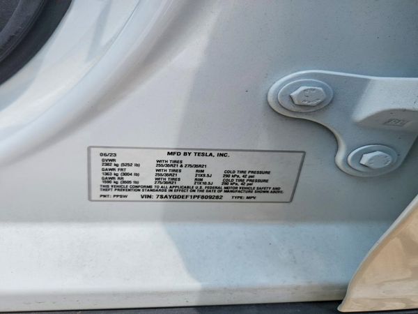 2023 TESLA MODEL Y