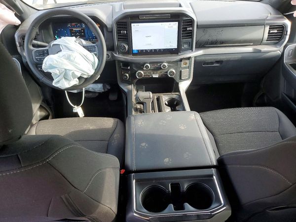 2025 FORD F150 XLT