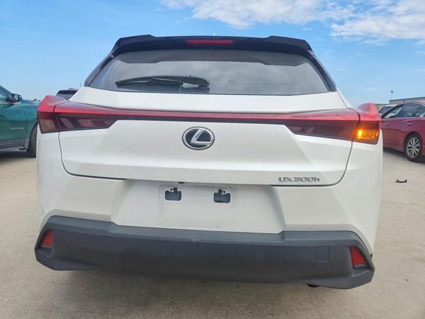2025 LEXUS UX 300H