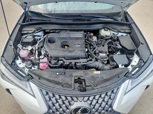 2025 LEXUS UX 300H