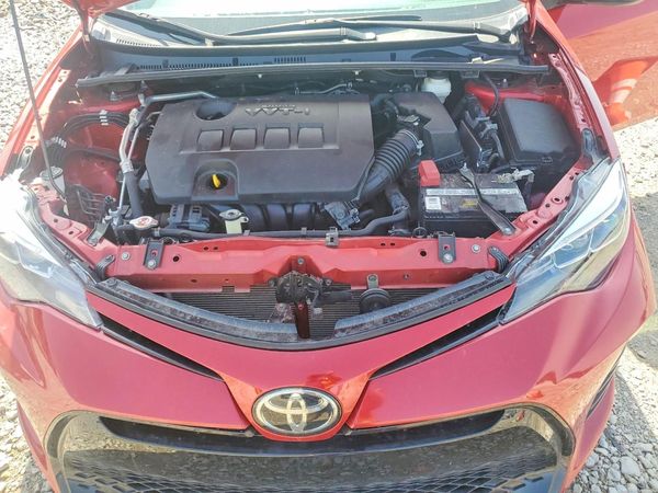 2019 TOYOTA COROLLA