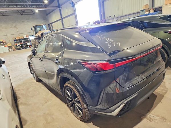 2024 LEXUS RX
