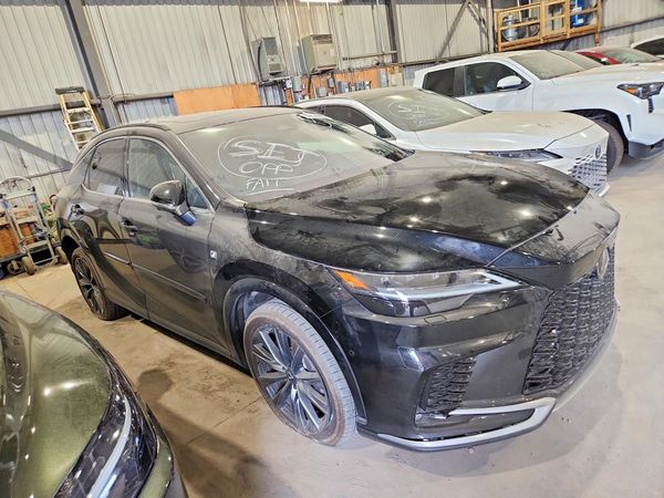 2024 LEXUS RX