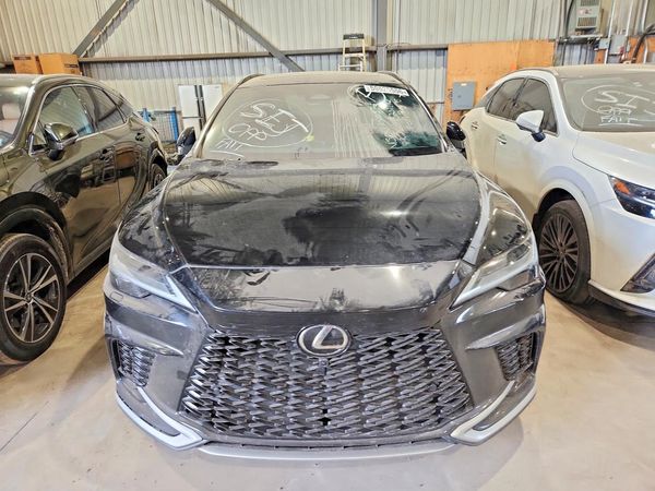 2024 LEXUS RX