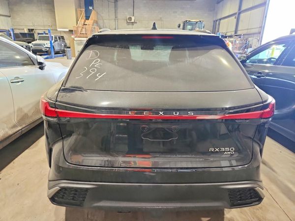 2024 LEXUS RX