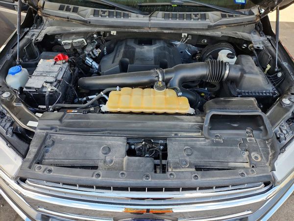 2019 FORD F150