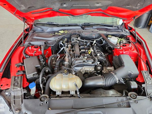 2021 FORD MUSTANG I4 Convertible