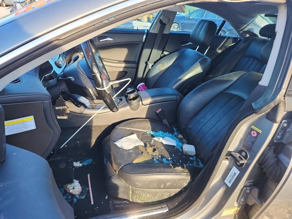 2010 MERCEDES-BENZ CLS CLS550
