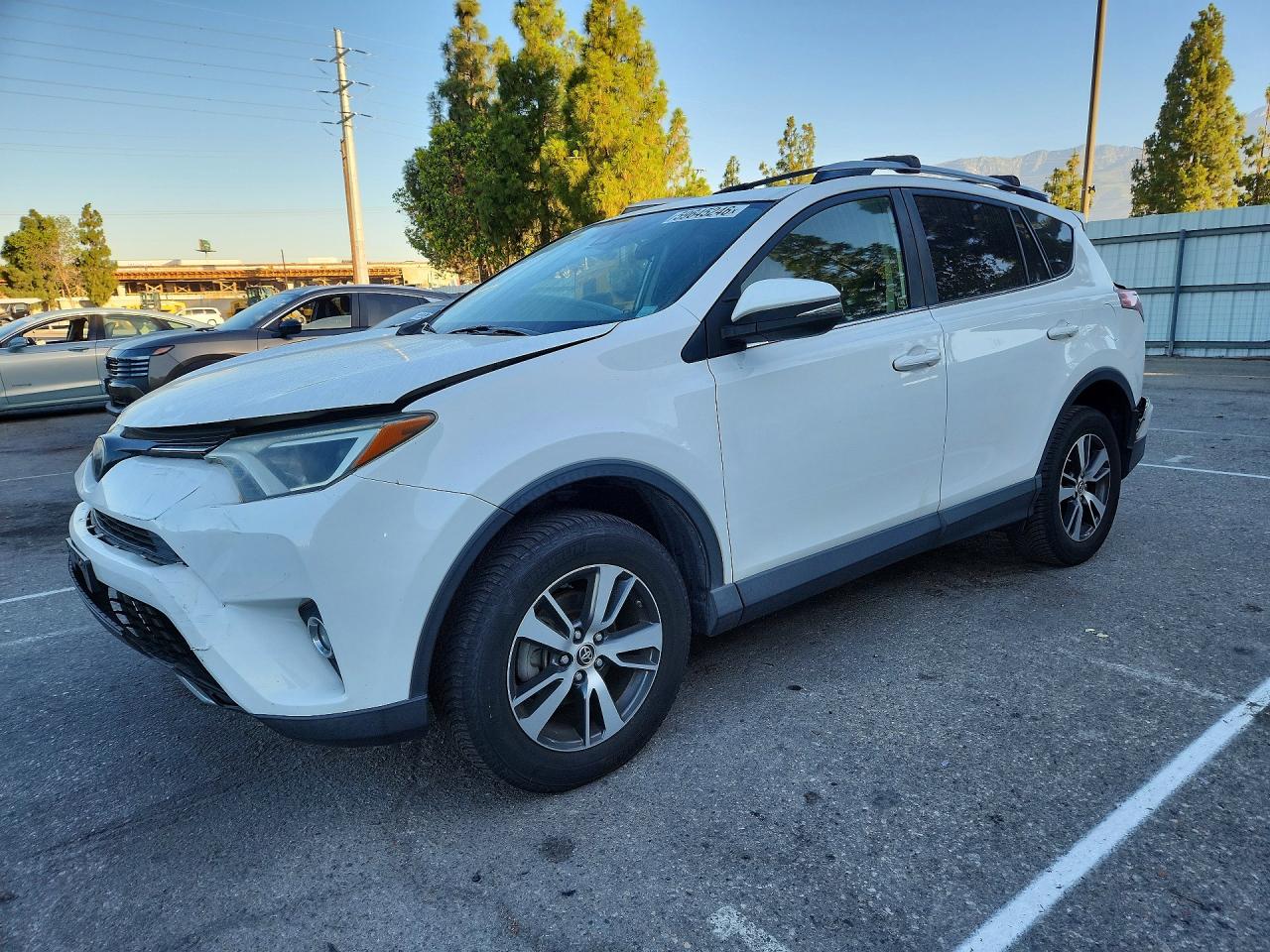 2018 TOYOTA RAV4 Adventure/XLE