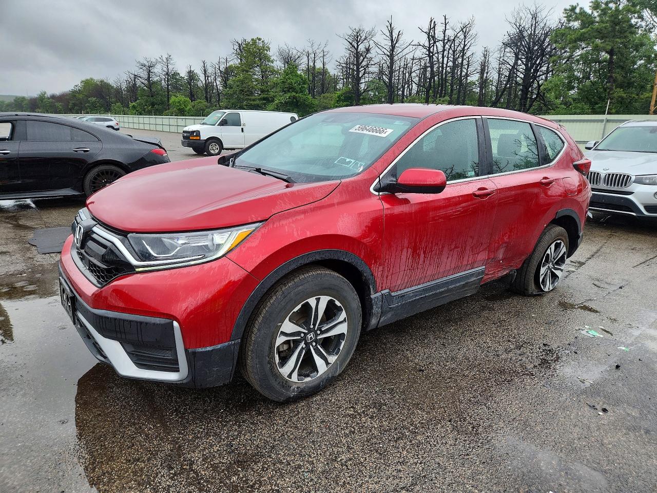 2022 HONDA CR-V Special Edition