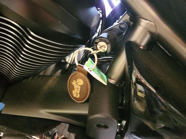2025 KAWASAKI VN900