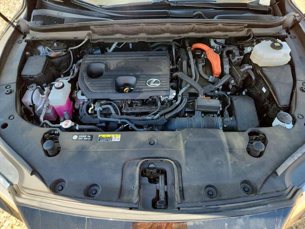 2024 LEXUS RX 350H