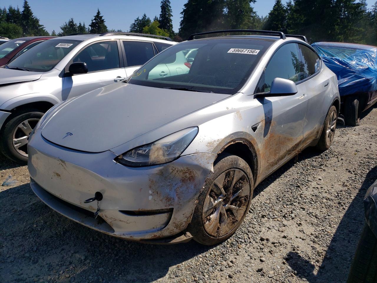 2021 TESLA MODEL Y