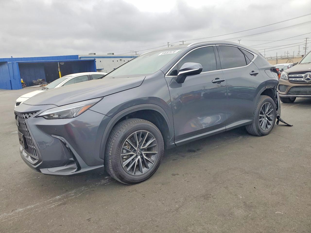 2025 LEXUS NX 250