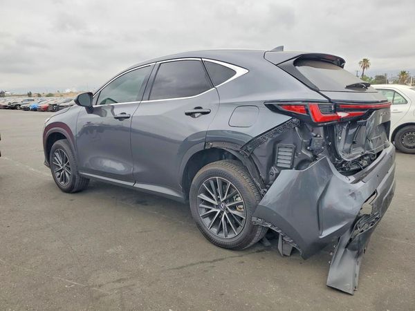 2025 LEXUS NX 250