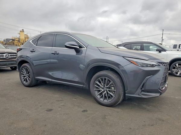 2025 LEXUS NX 250