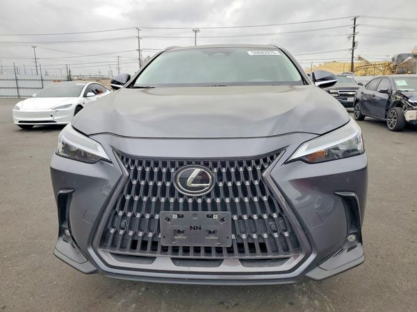 2025 LEXUS NX 250