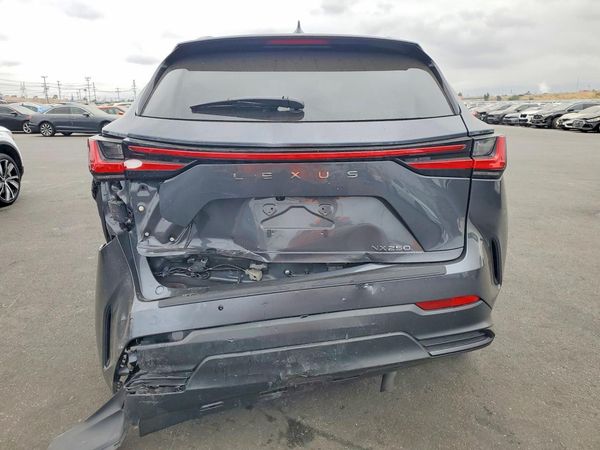 2025 LEXUS NX 250