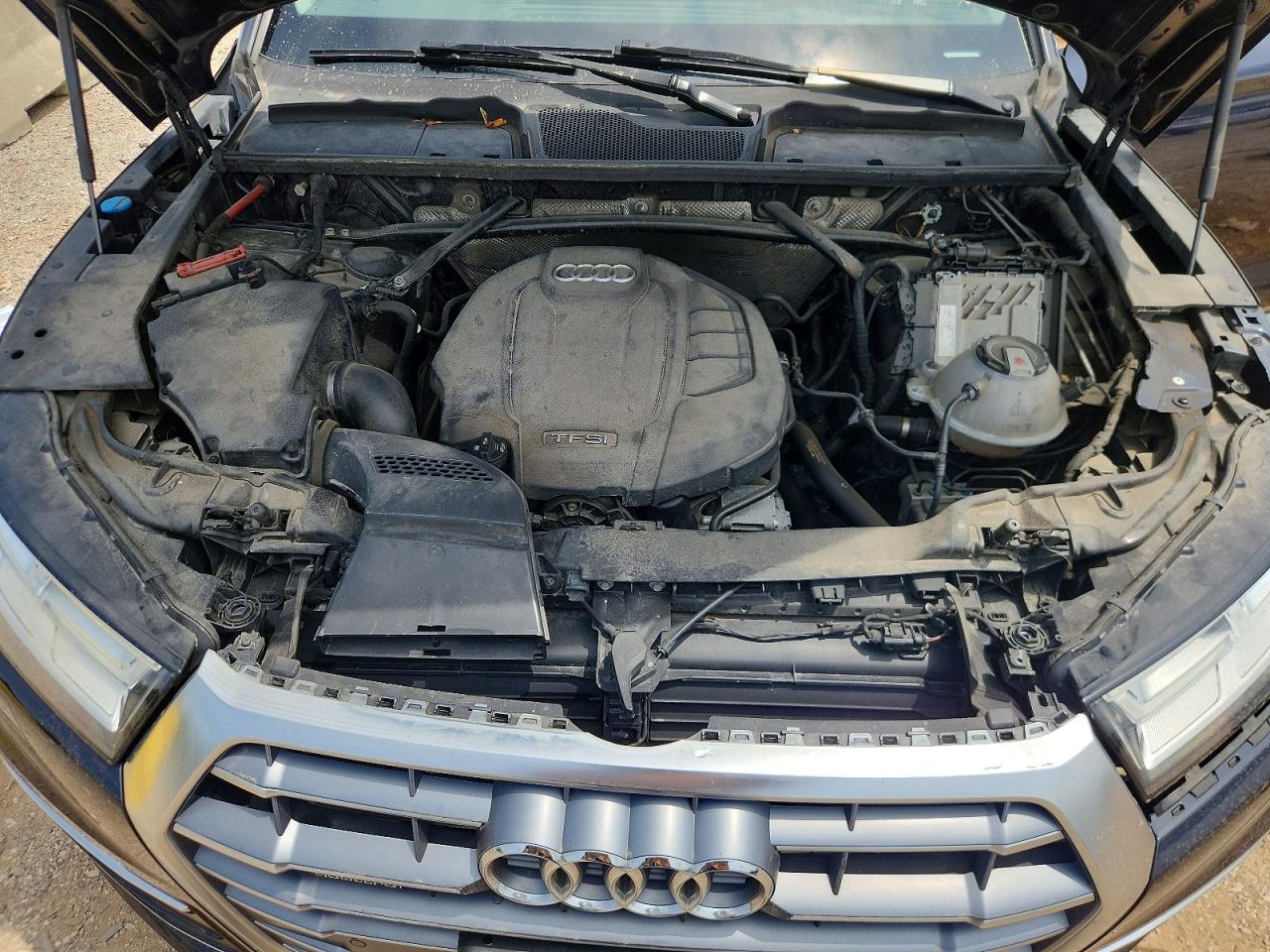 2019 AUDI Q5 quattro Premium Plus