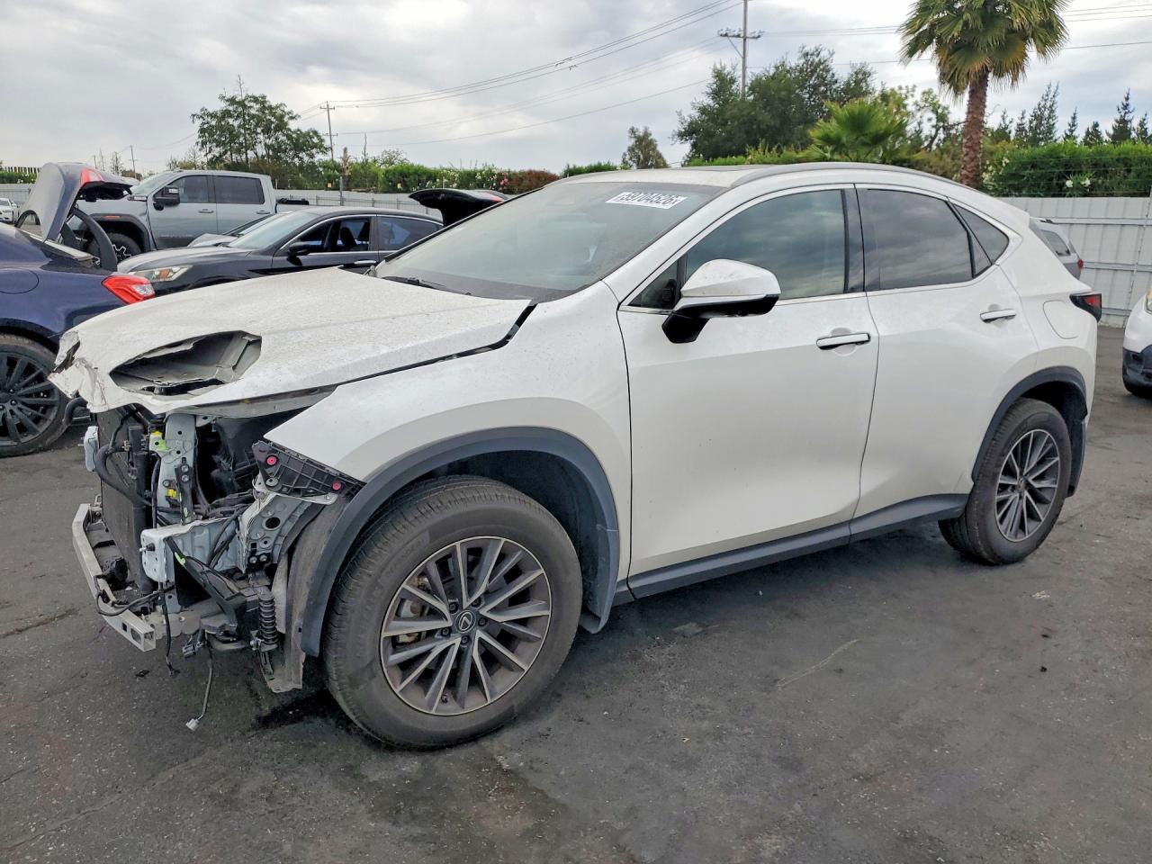 2024 LEXUS NX 350H 350h Premium