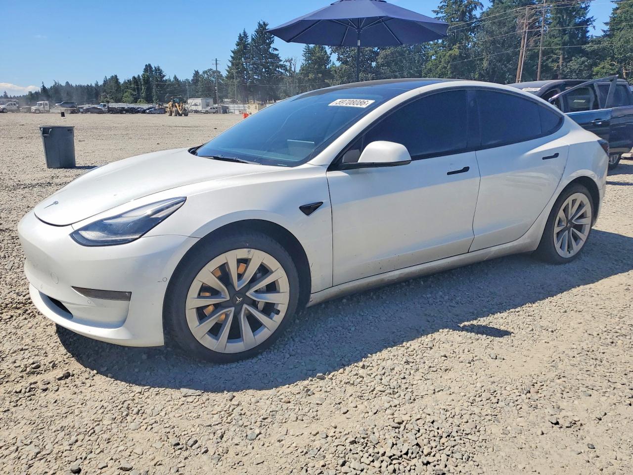 2022 TESLA MODEL 3