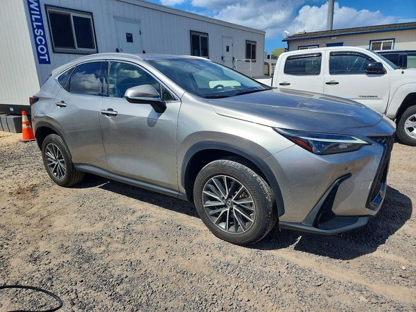 2023 LEXUS NX 250 Premium