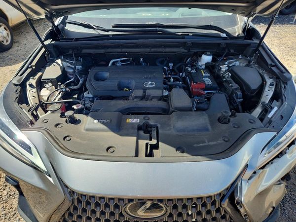 2023 LEXUS NX 250 Premium