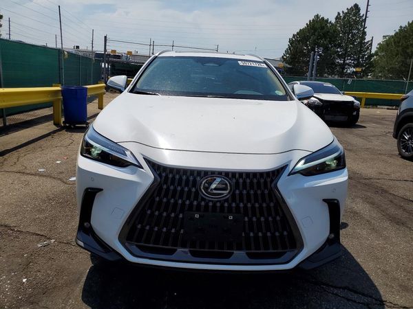 2026 LEXUS NX 350