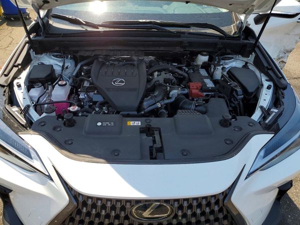 2026 LEXUS NX 350