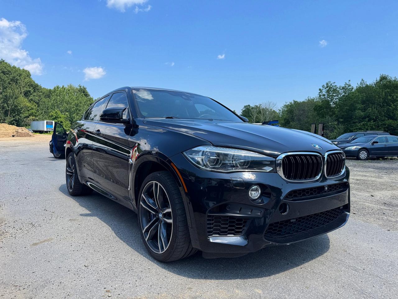 2017 BMW X6 X6 M