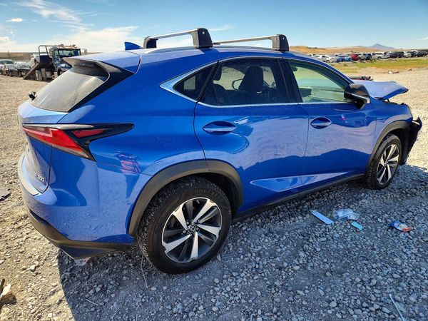 2019 LEXUS NX 300