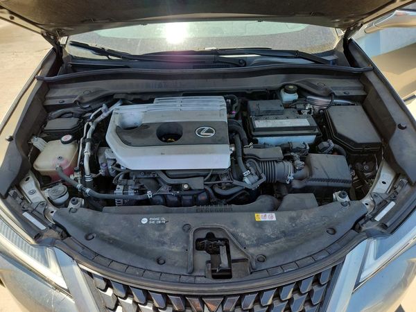 2019 LEXUS UX 200 Base/Luxury/F Sport