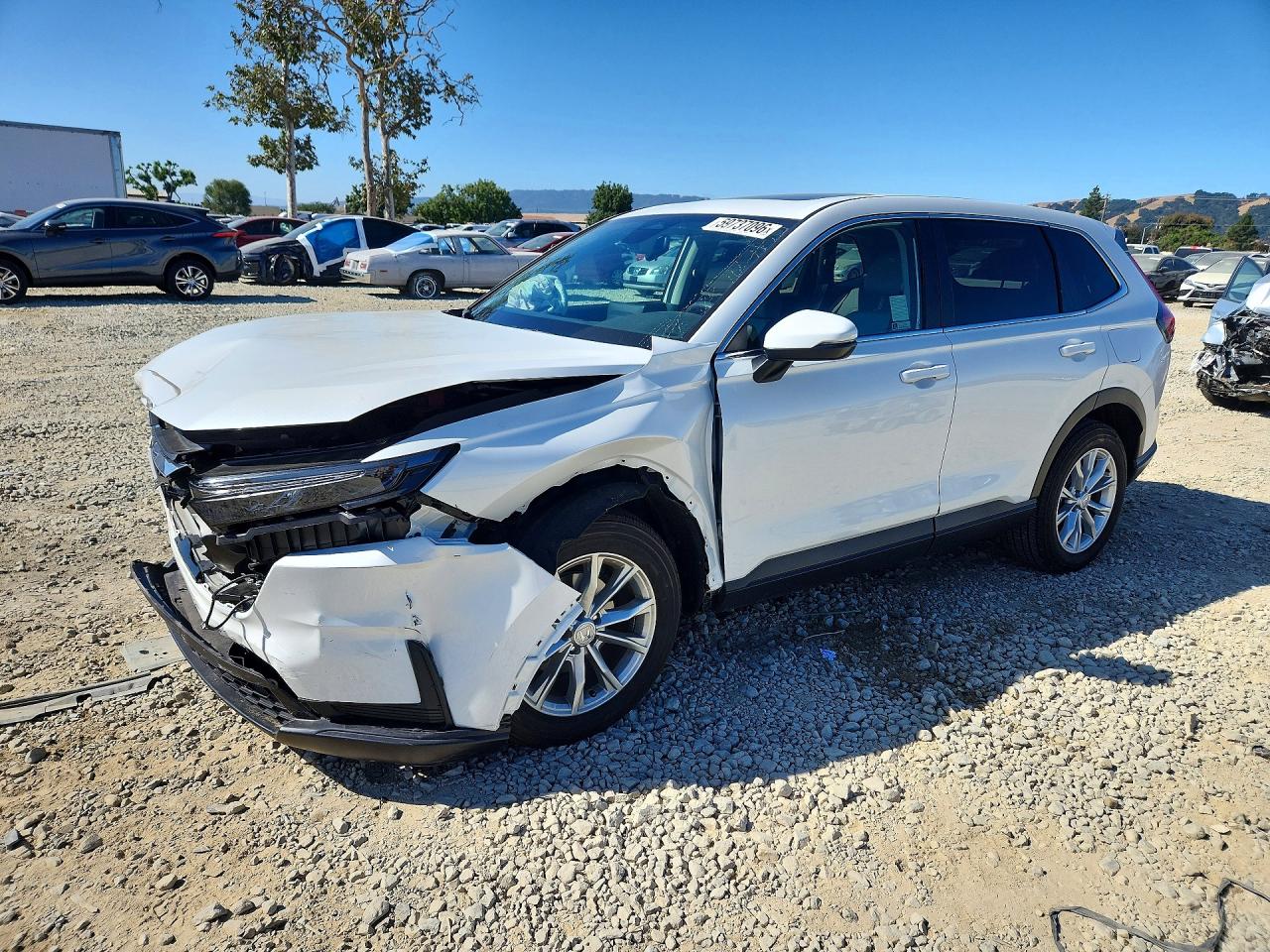 2024 HONDA CR-V