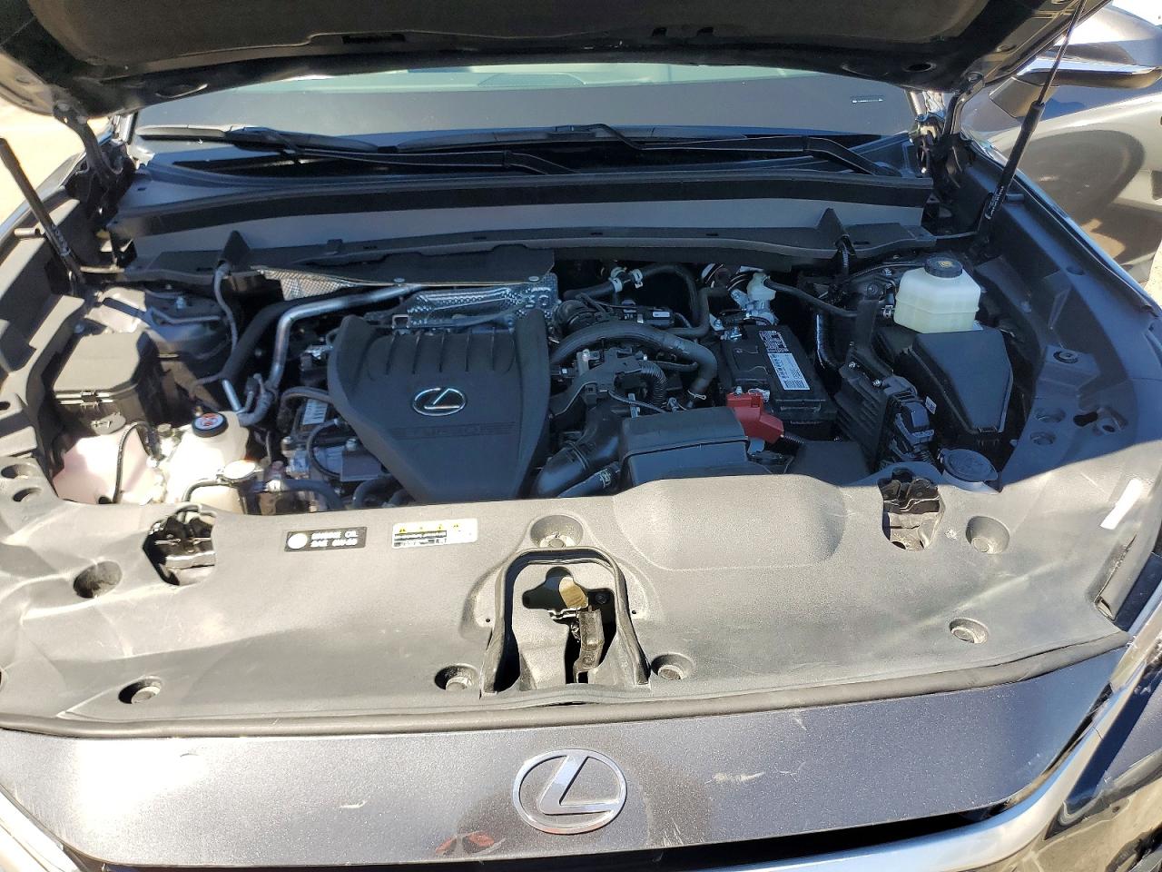 2026 LEXUS TX 350