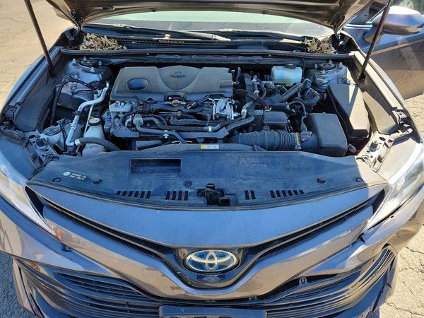 2020 TOYOTA CAMRY LE Hybrid