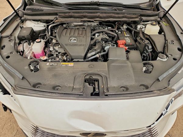 2024 LEXUS RX 350