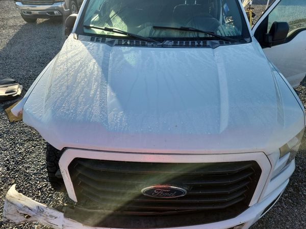 2017 FORD F150