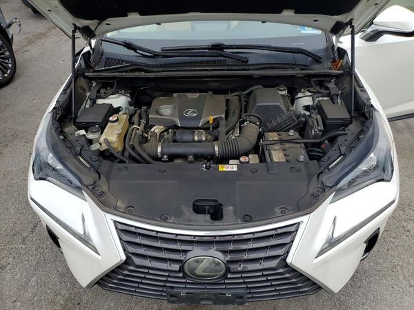 2018 LEXUS NX 300 300 Luxury